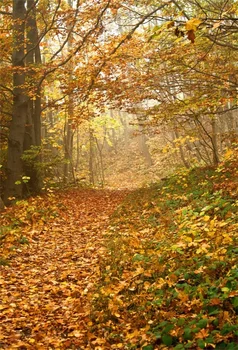 Laeacco Осенние опавшие листья Желтое дерево Проход Портрет Живописные фотографические фоны Фотофоны для фотостудии